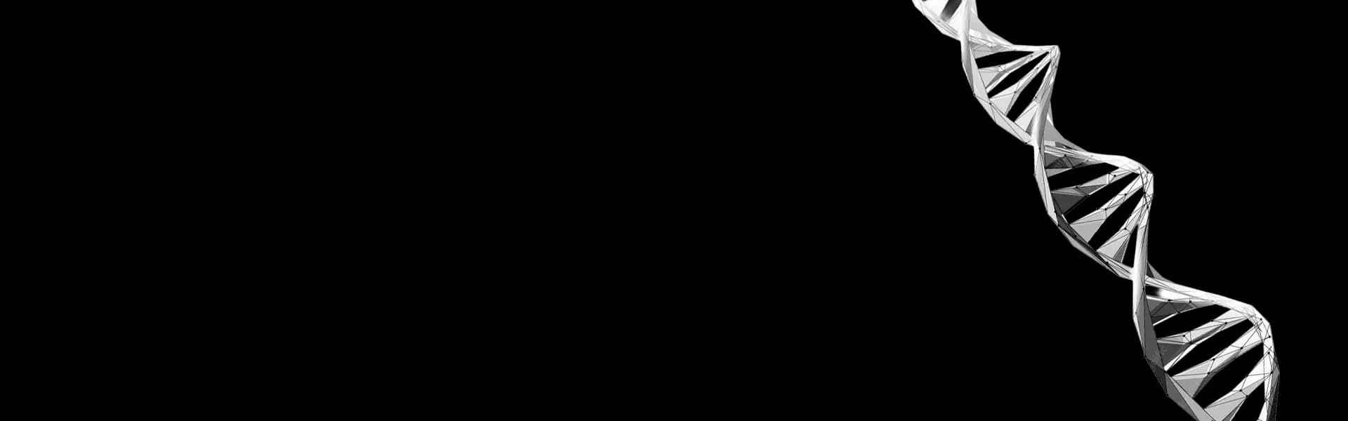 zen-services